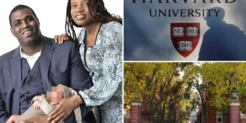 Harvard Dean Gregory Davis removed after anti-White, anti-police social media posts resurfaced