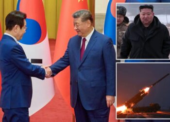 South Korean leader says he asked China’s Xi to act as mediator on North Korea issues