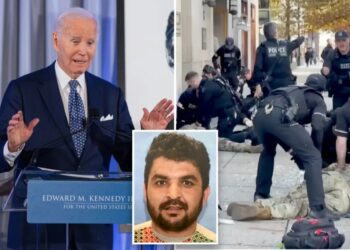 Biden HR official vouched for National Guard shooter saying he posed ‘no threat’ to national security