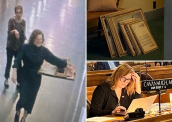 Nebraska state senator caught on video removing Founders’ portraits defends actions