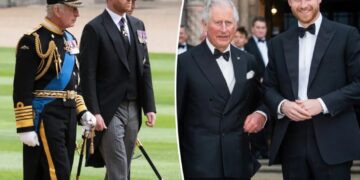 Prince Harry has a plan that could end the royal rift with King Charles for good: report