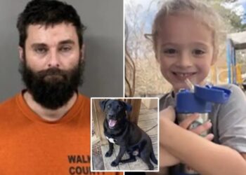 Possible cause of death revealed for missing Florida boy Johnathan Boley, 4, who was found dead next to his dog in Alabama woods