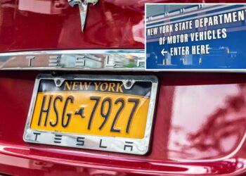 DMV shared its list of rejected 2025 personalized plate requests