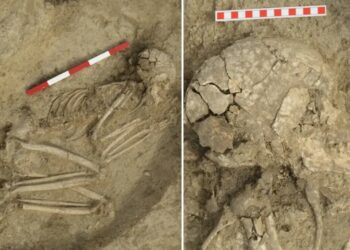 Archaeologists uncovered the remains of man who lived 6,000 years ago — and survived a brutal lion encounter