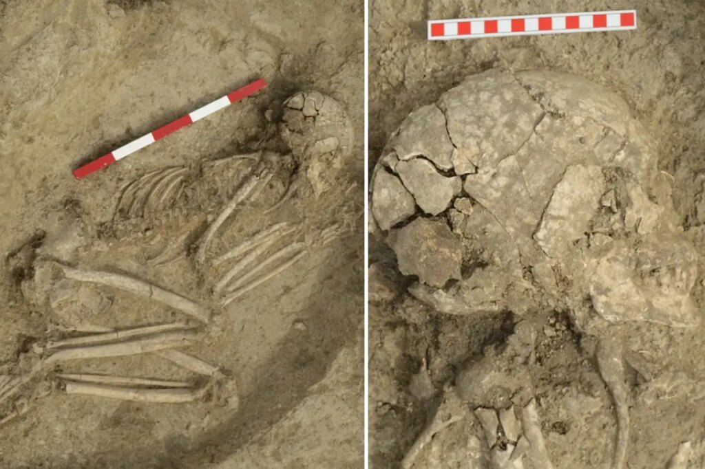 Archaeologists uncovered the remains of man who lived 6,000 years ago — and survived a brutal lion encounter