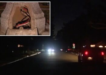 Copper wire thieves plunge LA neighborhood into total darkness as epidemic hits millions in damages