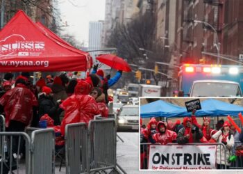 NYC nurses strike spurred 3 deaths at Mount Sinai: union honchos
