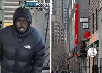 Brazen NYC carjacker swipes vehicle where blind senior, 72, was waiting for son: ‘He didn’t know what was happening’