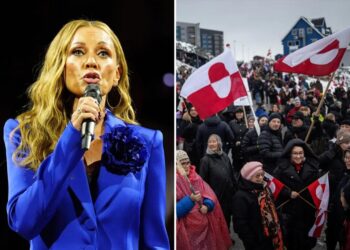 Boos as anti-Trump protester interrupts the national anthem to yell ‘Leave Greenland alone’