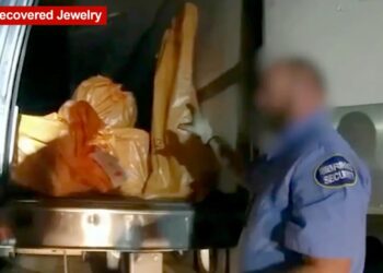 Suspect in $100M jewel heist walks free — because he was deported