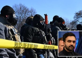 Mamdani urges ‘abolish ICE’ after armed protester shot in Minneapolis — ‘Abolish ICE’