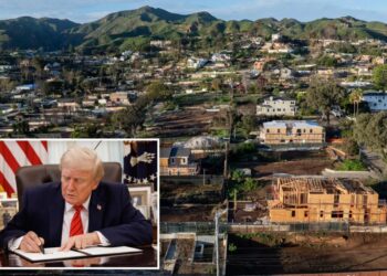 Trump signs executive order for feds to take over LA’s ‘nightmare’ wildfire rebuild in huge boost for victims