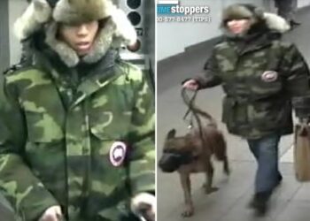 Brute sicced dog on stranger during dispute in NYC subway station: cops