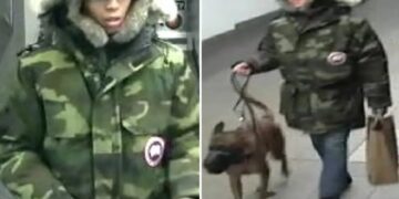 Brute sicced dog on stranger during dispute in NYC subway station: cops