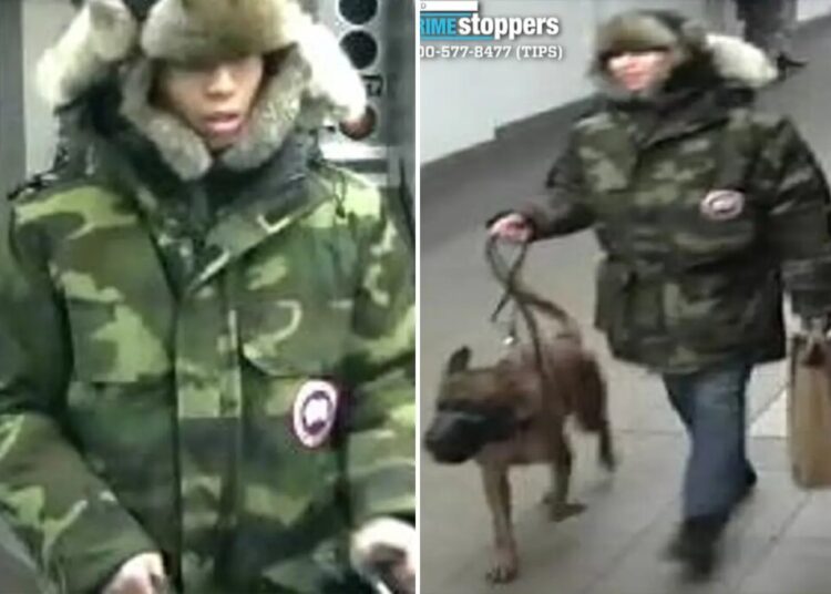 Brute sicced dog on stranger during dispute in NYC subway station: cops