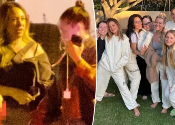 Ashley Tisdale and Haylie Duff put on united front for family outing amid toxic mom group drama