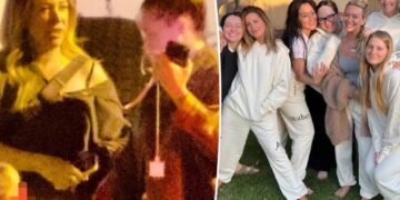 Ashley Tisdale and Haylie Duff put on united front for family outing amid toxic mom group drama