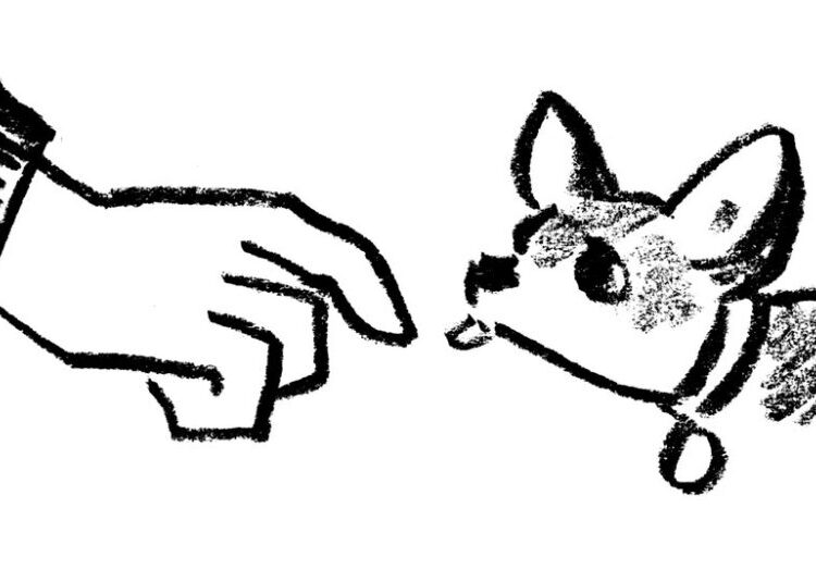 ‘The Man and I Both Immediately Lost Our Composure’