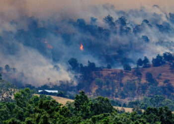 Australia Wildfires Burn Nearly 900,000 Acres