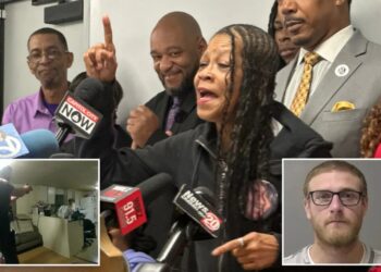 Ex-sheriff’s deputy sentenced 20 years for killing unarmed black woman Sonya Massey