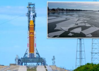 NASA stalls Artemis II moon launch due to rare arctic Florida outbreak
