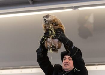 In This Town, the Groundhog May Never See Its Shadow Again