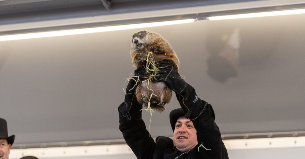 In This Town, the Groundhog May Never See Its Shadow Again