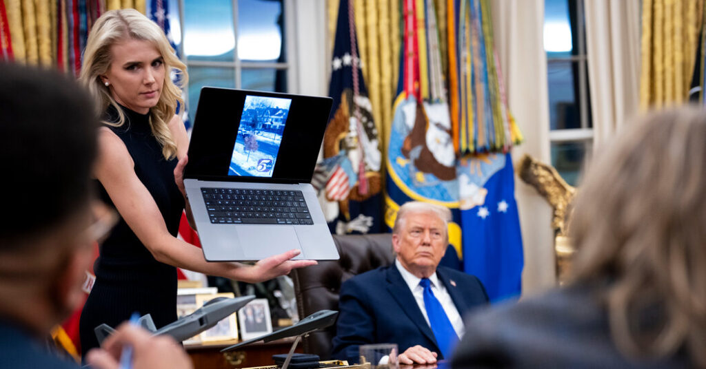 Trump Has Another Justification for the Shooting of Renee Good: Disrespect