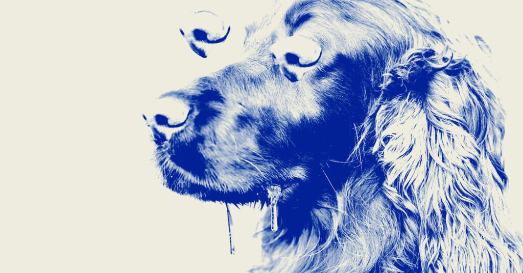 The Internet May Look Different After You Listen to This