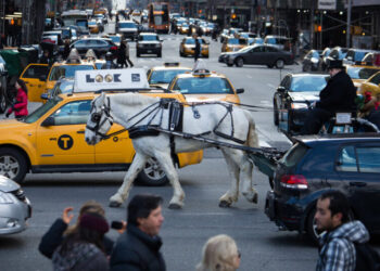 Video of Runaway Carriage Horse in Manhattan Fuels Debate Over a Proposed Ban