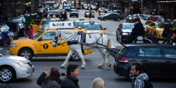 Video of Runaway Carriage Horse in Manhattan Fuels Debate Over a Proposed Ban
