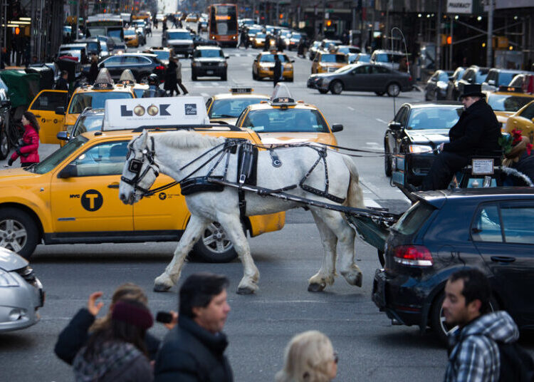 Video of Runaway Carriage Horse in Manhattan Fuels Debate Over a Proposed Ban