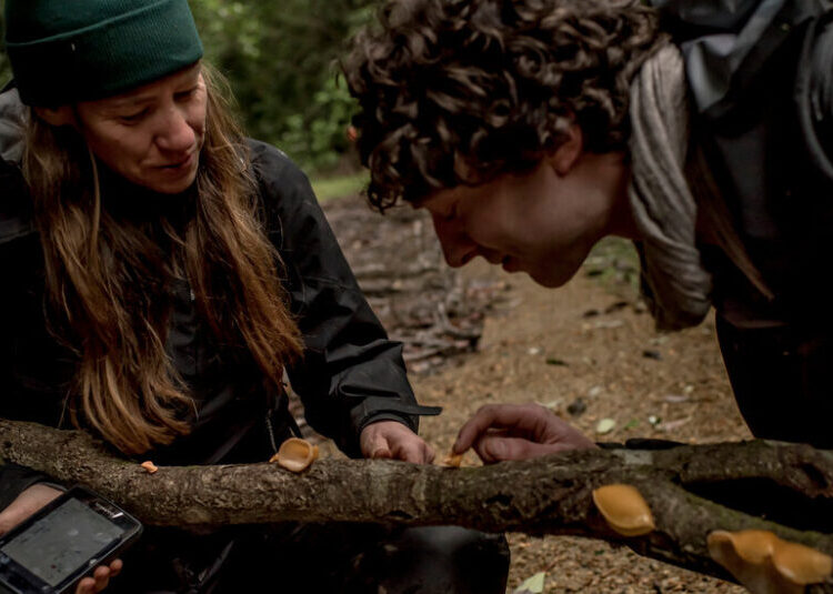 Toby Kiers, World Champion of Fungus