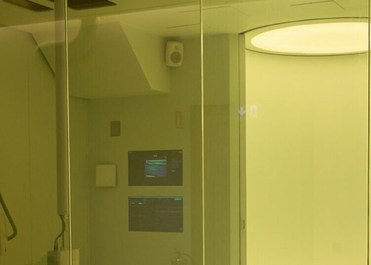 The Swedish Start-Up Aiming to Conquer America’s Full-Body-Scan Craze