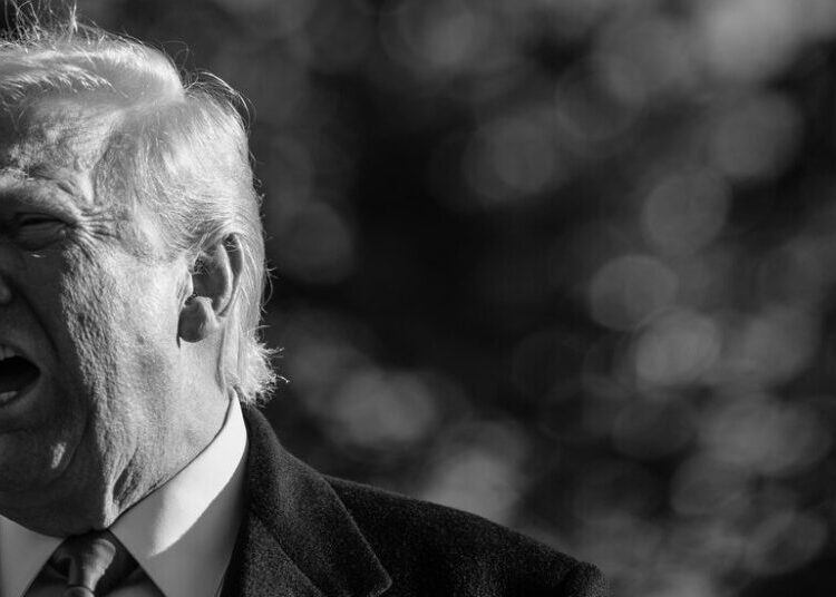 Trump Has Stopped Pretending That This Is All Normal