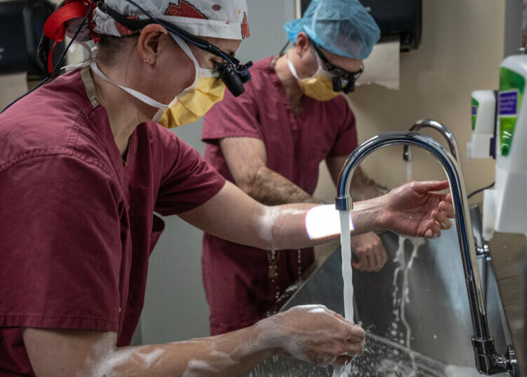 In the Operating Room, a Reporter Watches a Heart Come Back to Life