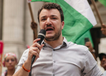 Judge Proposes Restricting Deportation of Scores of Noncitizen Academics