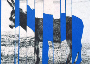 To Beat White Identity Politics, End Democratic Racial Politics