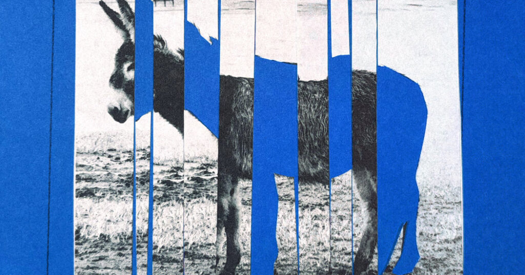 To Beat White Identity Politics, End Democratic Racial Politics