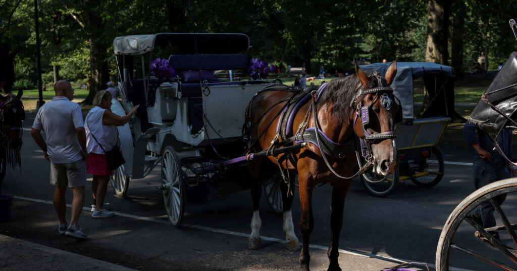 A Horse Bolts, Renewing Debate Over Central Park Carriages