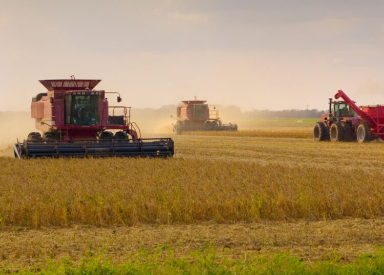 Supreme Court to Decide if the Pesticide Roundup Is Shielded From Lawsuits