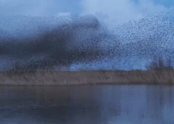 This Is How Your Mind Works