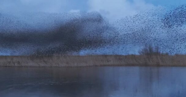 This Is How Your Mind Works