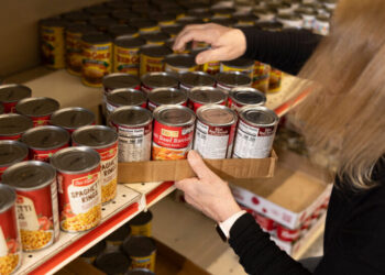 Court Blocks Trump Administration From Freezing Food Stamps in Minnesota