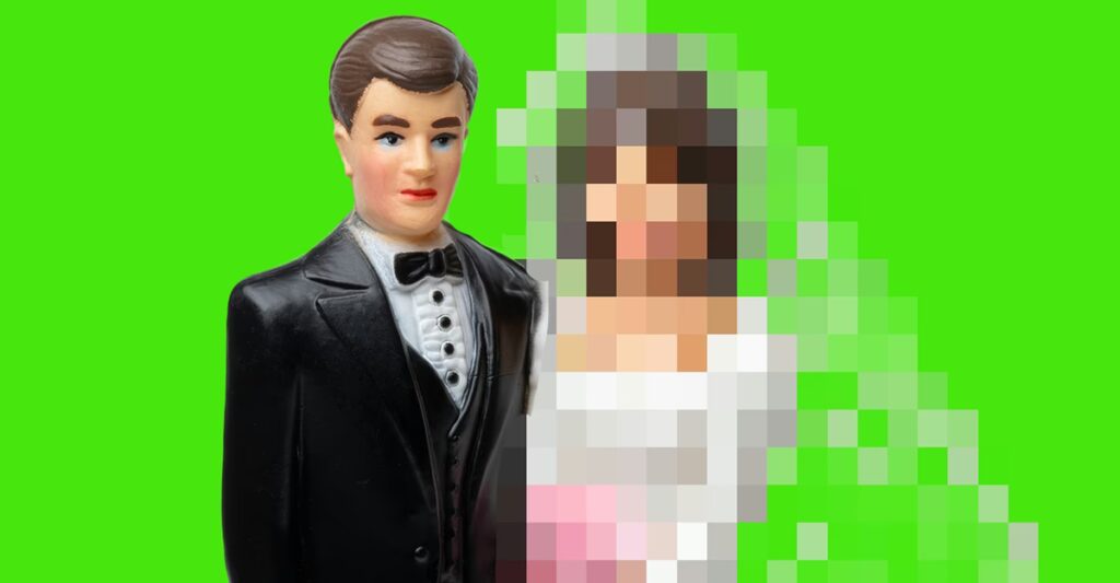 The People Who Marry Chatbots