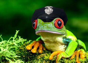 Cops Forced to Explain Why AI Generated Police Report Claimed Officer Transformed Into Frog