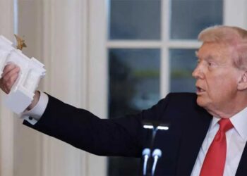 ‘Looks gross’: MAGA fans give thumbs down to baffling Trump building proposal