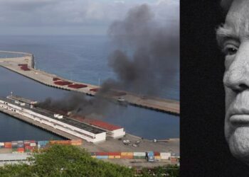 Trump’s Critics Are Falling Into an Obvious Trap