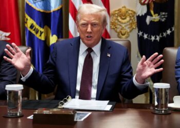 ‘Very dangerous’: Lawmaker says Trump accidentally ‘revealed his hand’ on military plans