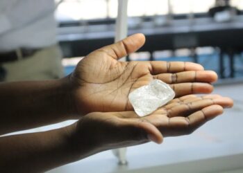 Botswana to open rare earth mineral, diamond industry to Russian investors: foreign minister
